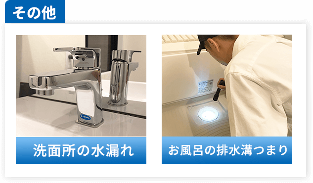 その他：洗面所の水漏れ、お風呂の排水溝つまり